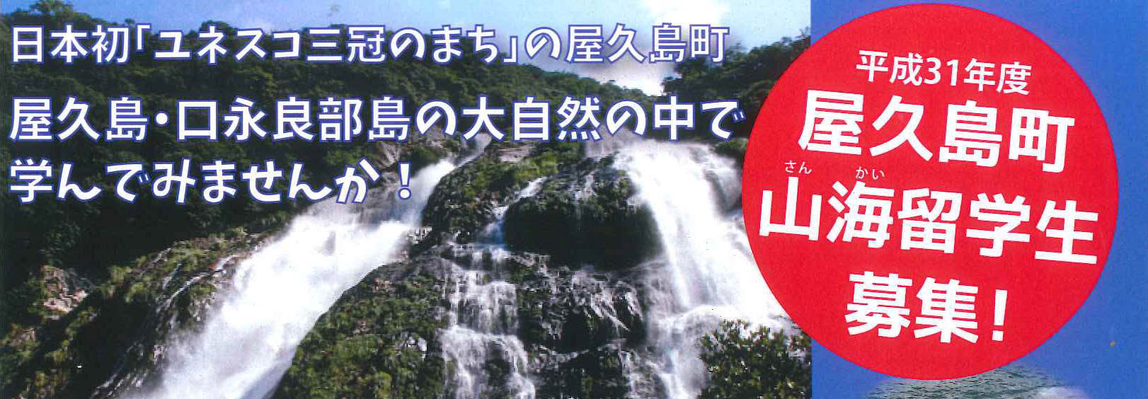 山海留学チラシ