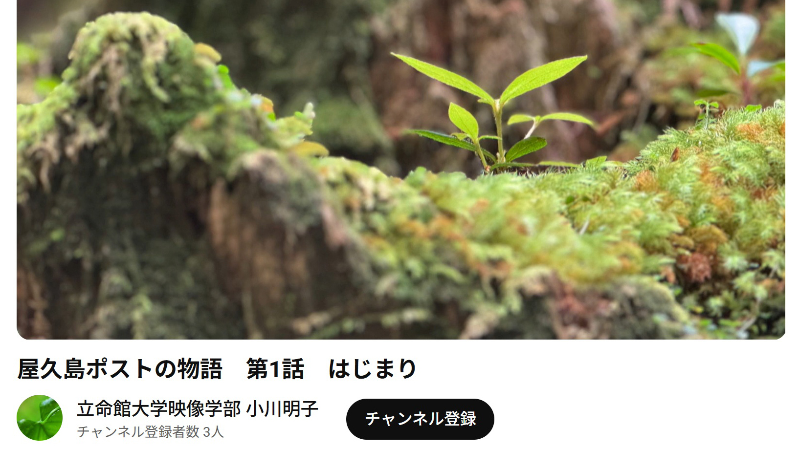 ポッドキャスト「屋久島ポストの物語」、立命館大学の研究グループが制作